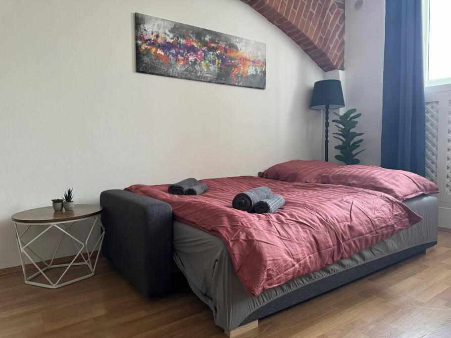 Appartement Classy Premium *