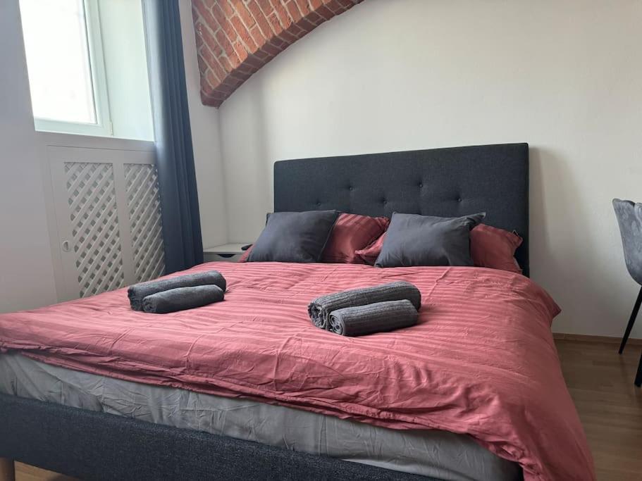 Appartement Classy Premium *
