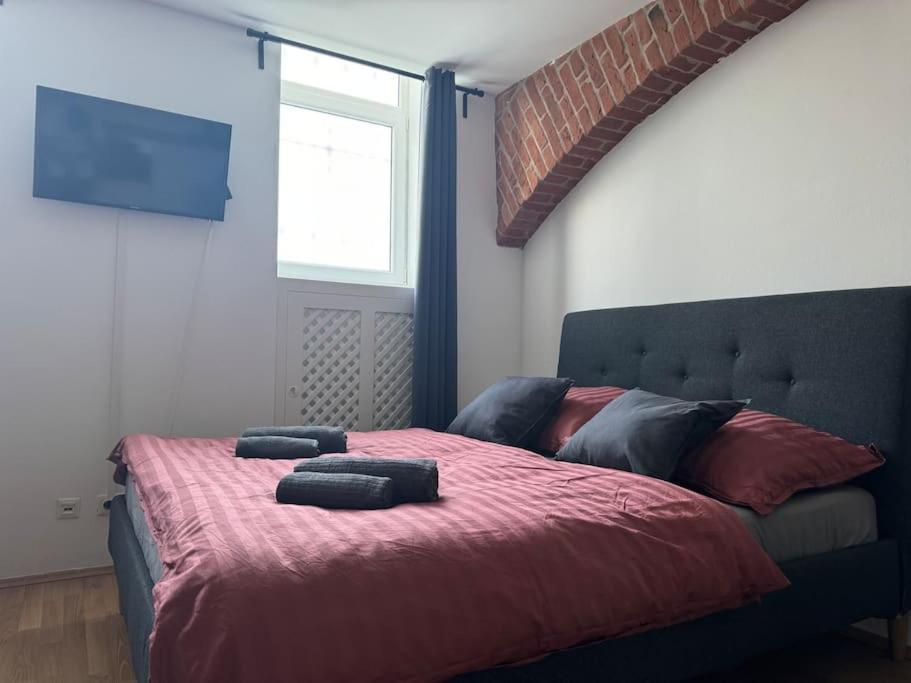 Appartement Classy Premium *