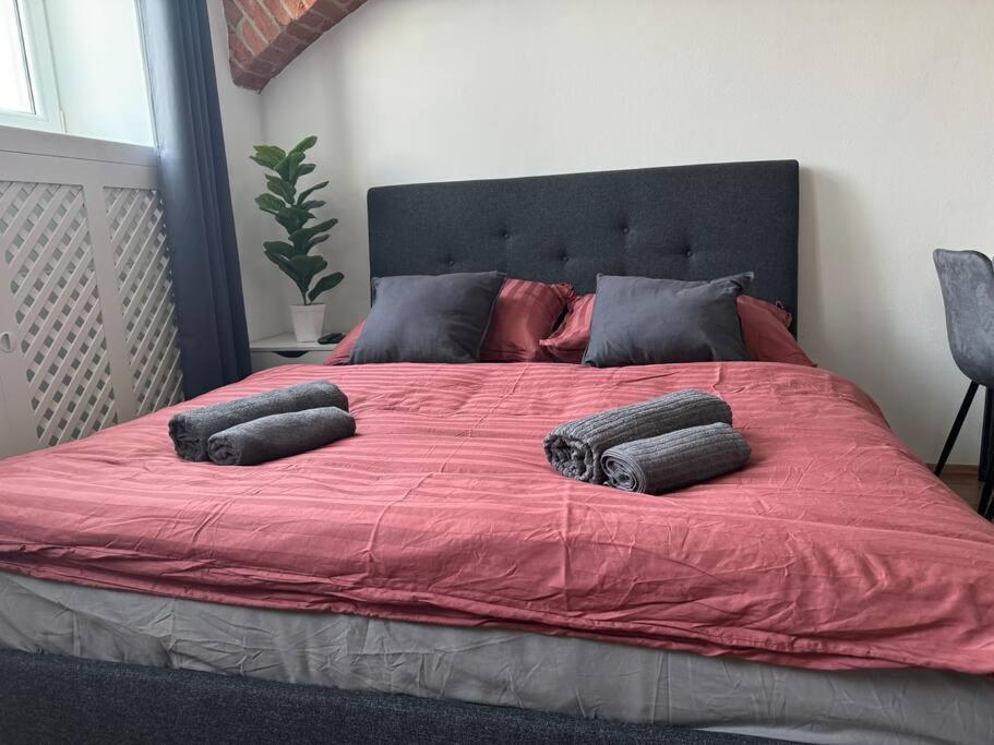 Classy Premium Appartement Wenen
